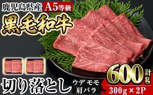 a855 ≪A5等級≫鹿児島県産黒毛和牛切り落とし計600g(300g×2P)【水迫畜産】 姶良市 国産 牛肉 切り落とし
