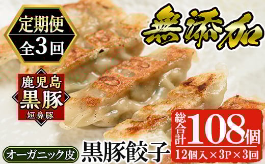 a879 【12月9日受付終了】《定期便全3回》鹿児島黒豚「短鼻豚」無添加餃子(オーガニック皮)セット計108個(36個×3回)【鹿児島ますや】 姶良市 ギョーザ 餃子 無添加 惣菜 おかず おつまみ 冷凍 黒豚 国産野菜 ぎょうざ