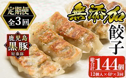 a880 《定期便全3回》鹿児島黒豚「短鼻豚」無添加餃子セット計144個(48個×3回)【鹿児島ますや】姶良市 ギョーザ 餃子 無添加 惣菜 おかず おつまみ 冷凍 黒豚 国産野菜 ぎょうざ