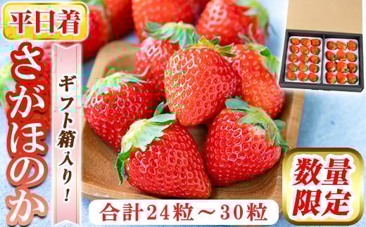 a881-01 【平日着】＜先行予約受付中！2026年2月上旬～3月下旬に発送予定＞ いちご・さがほのか(合計24粒～30粒)【佳農園】国産 鹿児島県産 苺 イチゴ フルーツ 果物 くだもの ギフト 贈答用