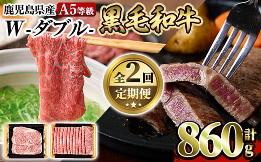 a898 《定期便全2回》A5等級！鹿児島県産黒毛和牛W(ダブル)ロースステーキ(180g×2枚)薄切りしゃぶしゃぶ・すきやき用(500g)【水迫畜産】姶良市 国産 鹿児島産 肉 牛肉 牛 ロース ステーキ しゃぶしゃぶ すき焼き 薄切り スライス 冷凍 肉定期便