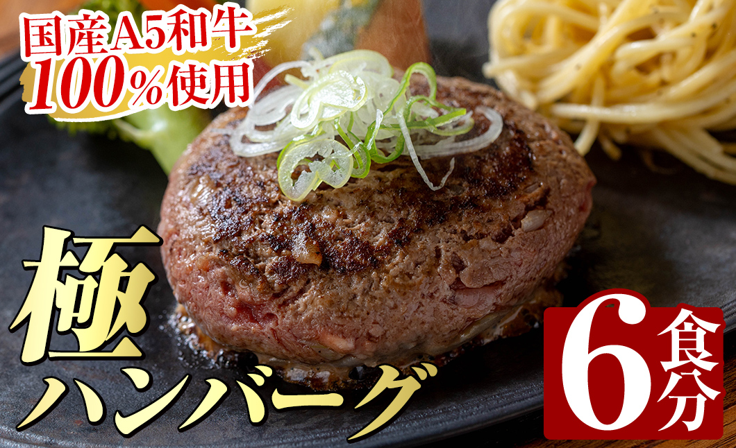 a940 生食感ハンバーグ！やまさきの焼肉A5ランク極ハンバーグ150g×6袋(合計900g)【やまさき】国産 肉 牛 牛肉 総菜 冷凍ハンバーグ おかず 簡単 冷凍 個包装 小分け 一人暮らし 牛100%