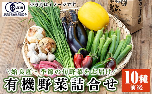 a967 姶良産 有機野菜の詰合せセット(10種前後)【今村農園】 姶良市 国産 鹿児島県 野菜 やさい 旬 有機栽培 詰め合わせ 春 夏 秋 冬 季節