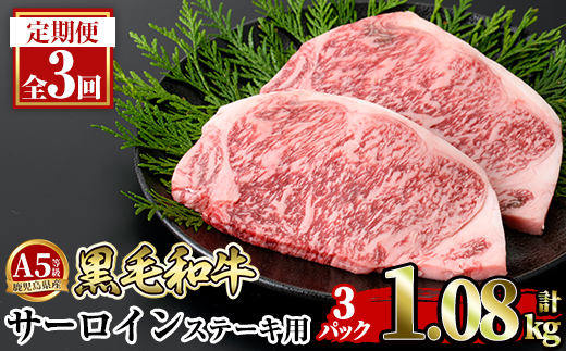 a853-E 【3回定期便】≪A5等級≫鹿児島県産黒毛和牛サーロイン2枚入り(3P計1.08kg) 【水迫畜産】姶良市 国産 牛肉 サーロインステーキ ステーキ ステーキ肉 和牛