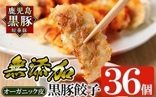 a006 【12月9日受付終了】鹿児島黒豚「短鼻豚」餃子セット36個(オーガニック皮使用)【鹿児島ますや】姶良市 ギョーザ 餃子 無添加 惣菜 おかず  おつまみ 冷凍 黒豚 国産野菜 ぎょうざ