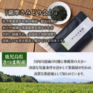 s507 ＜先行予約受付中！2025年11月中旬より順次発送＞《期間・数量限定》薩摩さみどり煎茶(煎茶100g×3袋) 鹿児島 国産 緑茶 煎茶 若蒸茶 銘茶 茶葉 お茶 日本茶 ギフト 贈答【薩摩さみどり会】