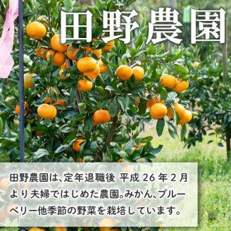 s523 ≪毎月数量限定≫十万みかん加工品3種セット(シロップ漬け・ソース・ジャム各1個・計3個) 鹿児島 国産 九州産 フルーツ 柑橘 ミカン 蜜柑 調味料 シロップ漬 果実【田野農園】