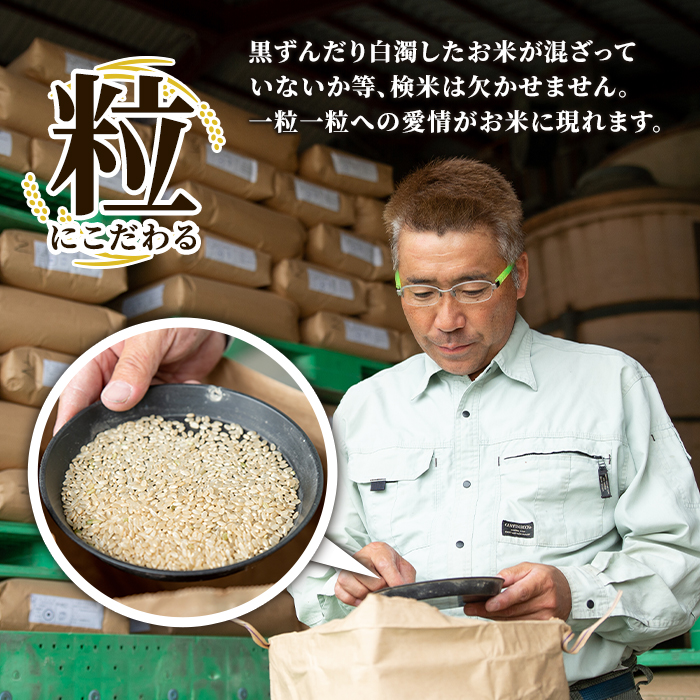 s064 《数量限定》令和7年産 新米 鹿児島県さつま町産 なつほのか(5kg)平成29年九州お米食味コンクール特別賞受賞 鹿児島県産 なつほのか 農家直送 ブランド米 お米 こめ 白米 ごはん ご飯【かじや農産】