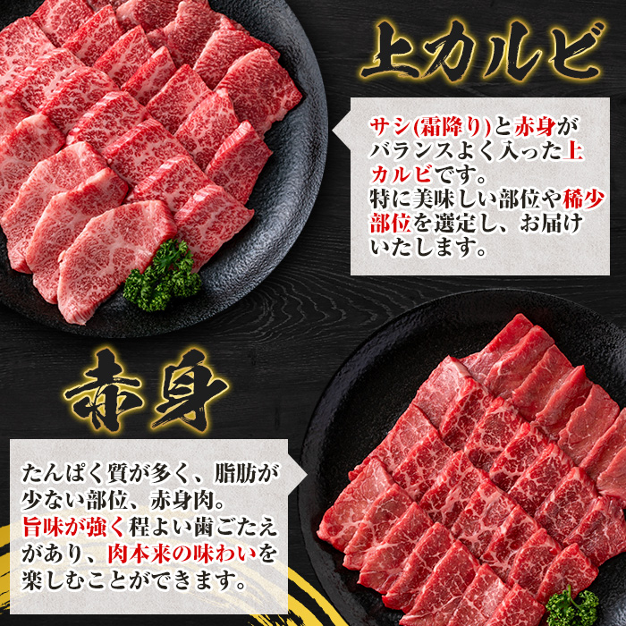 s302-om さつま福永牛 鹿児島黒毛和牛焼肉セット！(上カルビ320g・赤身320g・合計640g)≪さつま福永牛ハンバーグ1個付≫ 鹿児島 国産 九州産 黒毛和牛 牛肉 焼肉 カルビ 赤身 贈り物 【福永畜産】