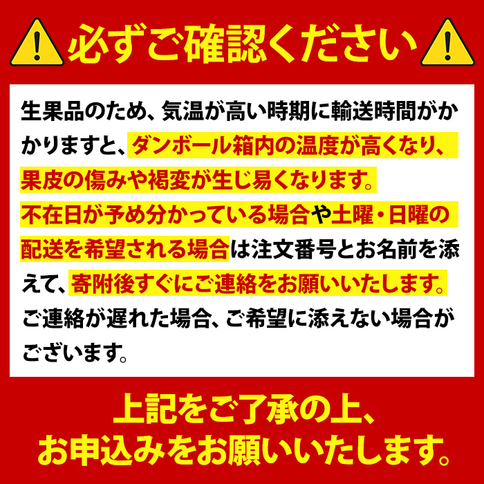 s320 ＜先行予約受付中！2026年2月上旬より順次発送予定＞《期間・数量限定》サワーポメロ(約10kg) 鹿児島 国産 九州産 果物 柑橘 フルーツ みかん 文旦 ボンタン【よしたか農園】