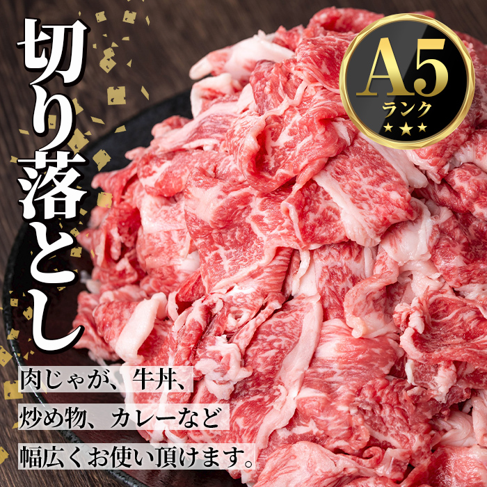 s700  ＜定期便・全3回＞鹿児島県産 北さつま高崎牛 切り落とし肉(計3kg(約500g×2P×3回) 国産 九州産 黒毛和牛 A5ランク A5等級 赤身 雌牛 切落し 切り落し 切落とし 牛肉 小分け お肉 真空パック 冷凍 【太田家】