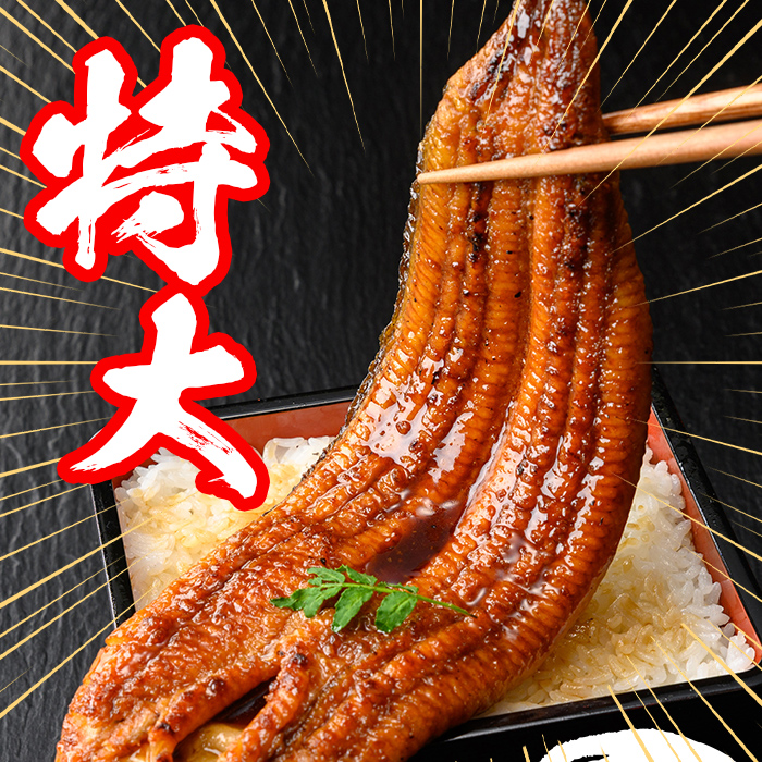 s733 【隔月・定期便6回】＼特大サイズ／ 鹿児島県産 鰻蒲焼真空セット！(計約2.64kg・約220g×2尾×6回) タレ・山椒付！ 鹿児島 九州産 国産 うなぎ ウナギ 鰻 土用の丑の日 蒲焼き うな重 ひつまぶし 定期便 隔月 1ヶ月おきに 冷凍 【薩摩川内鰻】