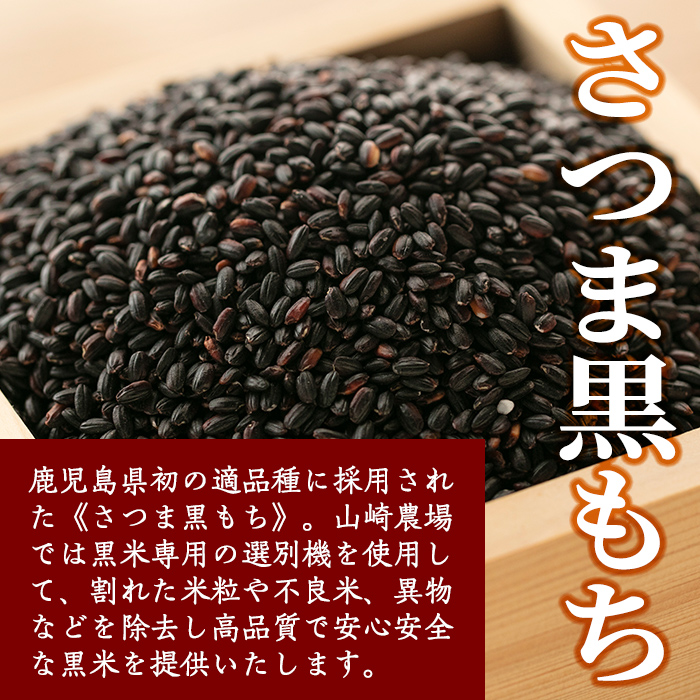 s327 《毎月数量限定》さつま町で育った黒米＜さつま黒もち＞(計1.2kg・300g×4個) 鹿児島 国産 九州産 黒米 こくまい くろまい 有色米【山崎農場】