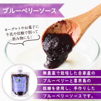 s520 ≪毎月数量限定≫ブルーベリーソース(計6本・1本180g) 鹿児島 国産 九州産 フルーツ 調味料【田野農園】
