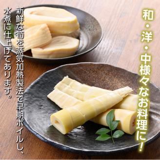 s186 《訳あり・毎月数量限定》たけのこ水煮詰め合わせ(計約1.75kg・孟宗筍水煮約200g×5袋、胡参竹水煮約150g×5袋) 鹿児島 国産 タケノコ 竹の子 水煮 野菜 小分け パック 煮物 炊き込みご飯 常温保存 常温【北薩農産加工場】