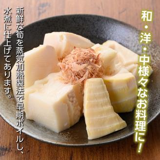 s556 たけのこ水煮 ブロック大詰め合わせ(計約1.2kg・約200g×6袋) 鹿児島 国産 タケノコ 竹の子 水煮 野菜 ブロック パック 煮物 炊き込みご飯  常温保存 常温【北薩農産加工場】
