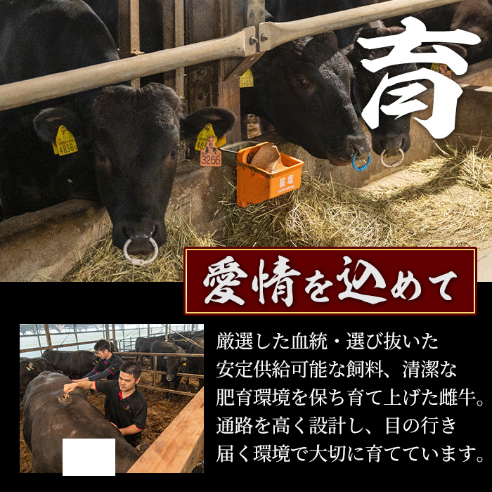 s590 ＜先行予約受付中！2026年1月中旬より順次発送予定＞鹿児島県産 北さつま高崎牛 切り落とし肉 (計約1kg・約500g×2) 黒毛和牛 A5ランク A5 雌牛 切落し 切り落し  牛肉 小分け お肉 真空パック【太田家】