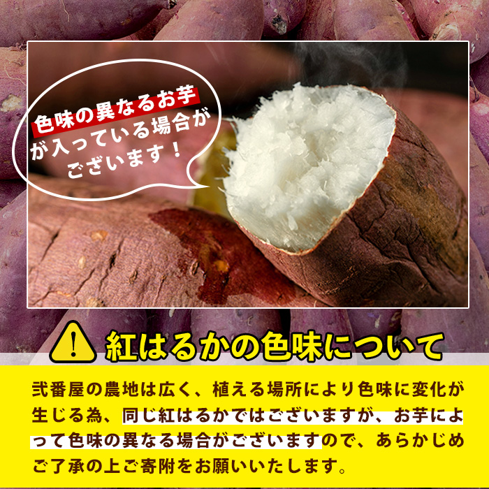 s604 《期間限定》鹿児島県産紅はるか生芋(5kg) 鹿児島 お芋 生芋 べにはるか 紅はるか さつまいも サツマイモ 薩摩芋 焼き芋 おかず スイーツ 【弐番屋】