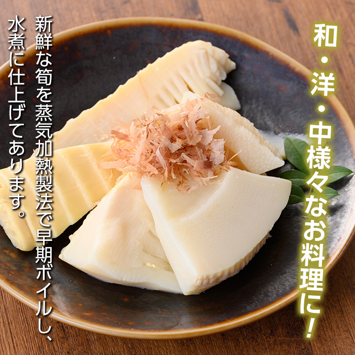 s666 ≪訳あり≫たけのこ水煮 切り落としタイプ(計約1.6kg・200g×8袋/3回定期便(隔月)) 鹿児島 国産 タケノコ 竹の子 水煮 野菜 切り落し パック 煮物 炊き込みご飯 常温保存 常温 【北薩農産加工場】