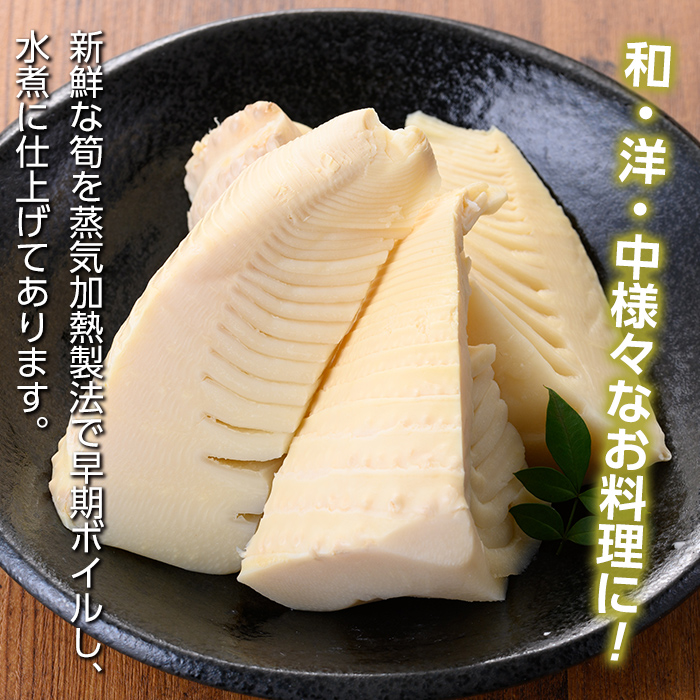 s721 《訳あり・毎月数量限定》たけのこ水煮カットタイプ(約500g×6袋・計約3kg) 鹿児島 国産 水煮 たけのこ 筍 タケノコ 煮物 炊き込みご飯 常温保存 常温 【北薩農産加工場】