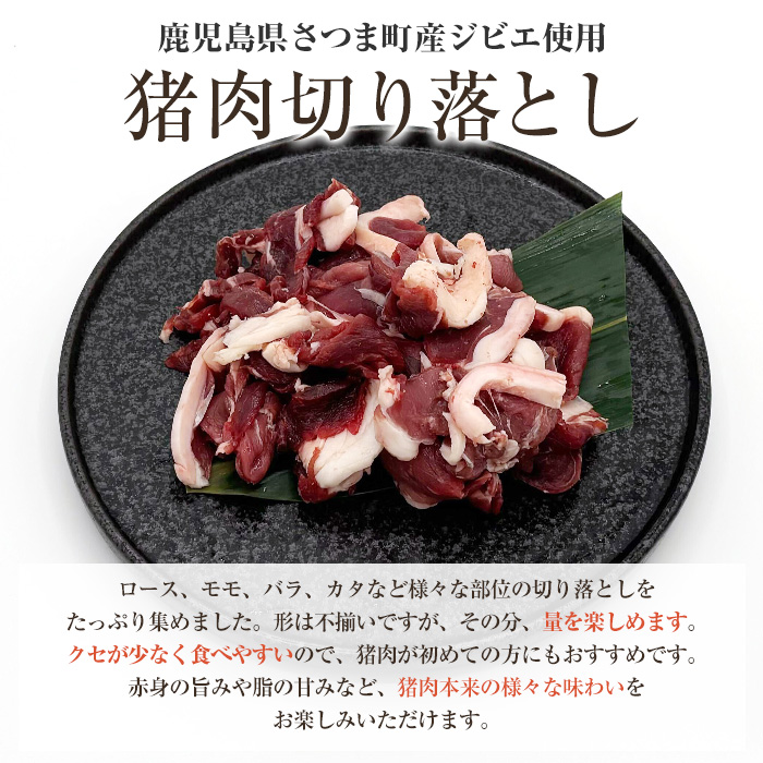 s760 〈鹿児島県さつま町産ジビエ使用〉猪肉切り落とし(計約1kg) 国産 鹿児島県 猪肉 イノシシ ジビエ 肉 切り落とし肉 スライス 炒め物 煮込み 猪汁 冷凍 【さつまのジビエファクトリー】