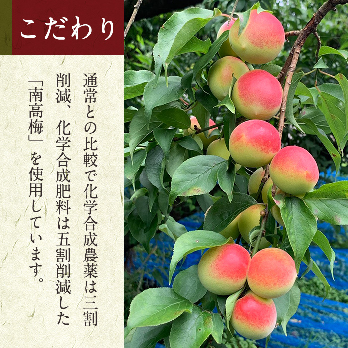 s037 ≪のむ梅≫完熟梅シロップセット(360ml×2本・計720ml) 完熟 梅 南高梅 果汁 飲料 ドリンク スッキリ 飲み比べ【薩摩西郷梅生産組合】