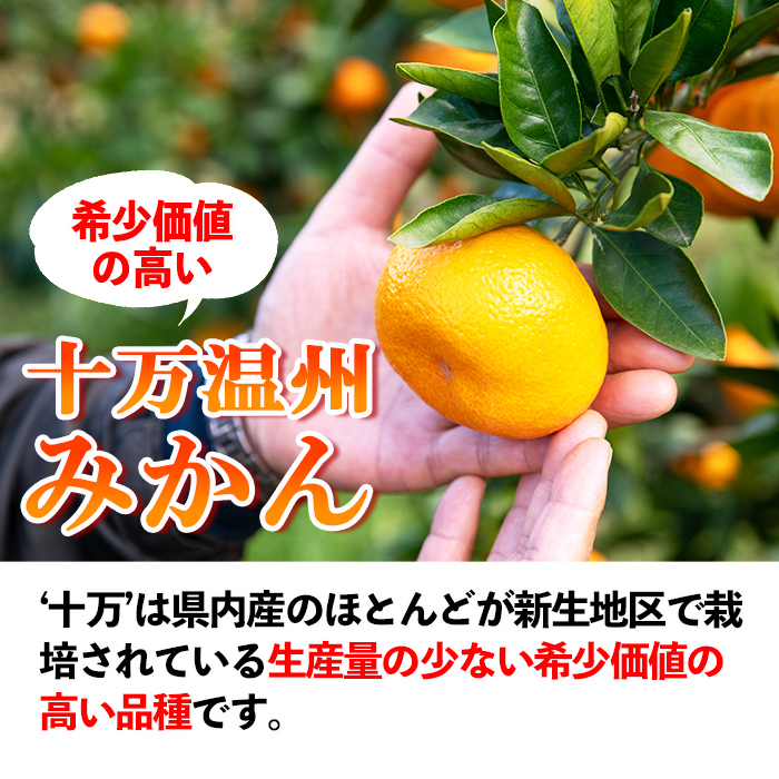 s498 ≪先行予約受付中！2025年12月中旬より順次発送≫十万温州みかん(計約10kg・M～Lサイズ) 鹿児島 国産 九州産 フルーツ 柑橘 みかん 蜜柑 【田野農園】