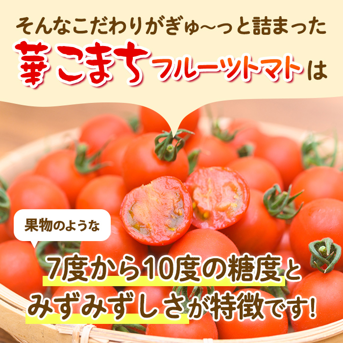 s501 《期間・数量限定》華こまちフルーツトマト(計800g・200g×4パック) 鹿児島 国産 九州産 野菜 とまと トマト ミニトマト フルーツトマト サラダ【吉祥庵園芸】