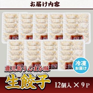 s116 タレ付き！鹿児島うんまか豚生餃子(計108個・12個入り×9P) 鹿児島 冷凍 にんにく・ニラ不使用 国産野菜100％ ぎょうざ 餃子 ギョーザ 焼き餃子 水餃子 生餃子 おかず【肉の寺師】
