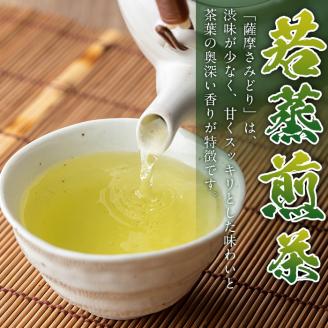 s507 ＜先行予約受付中！2025年11月中旬より順次発送＞《期間・数量限定》薩摩さみどり煎茶(煎茶100g×3袋) 鹿児島 国産 緑茶 煎茶 若蒸茶 銘茶 茶葉 お茶 日本茶 ギフト 贈答【薩摩さみどり会】