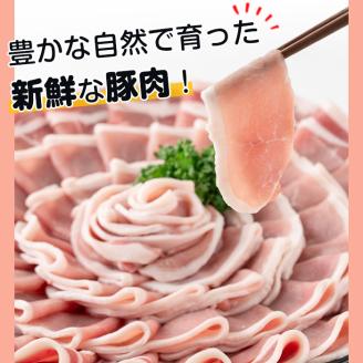 s512 ＜訳あり＞鹿児島県産豚ローススライス(計1.5kg・500g×3P) 豚肉 ロース スライス 小分け 国産 しゃぶしゃぶ 生姜焼き 鹿児島 お肉 ポーク 真空包装 真空パック【コワダヤ】