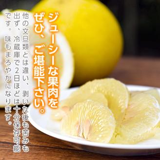 s320 ＜先行予約受付中！2026年2月上旬より順次発送予定＞《期間・数量限定》サワーポメロ(約10kg) 鹿児島 国産 九州産 果物 柑橘 フルーツ みかん 文旦 ボンタン【よしたか農園】