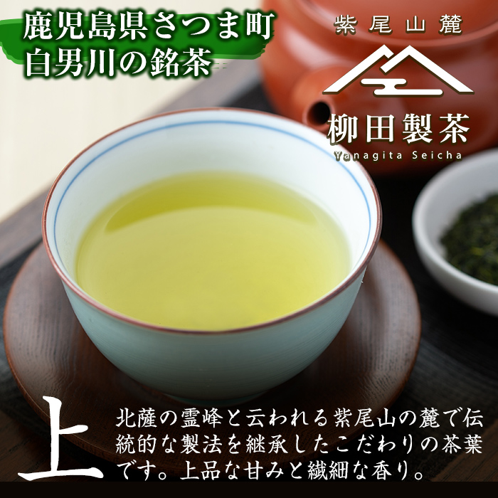s233 若蒸上煎茶TEA BAG(計40P・3g5P入×8袋)鹿児島 国産 九州産 日本茶 若蒸茶 お茶 緑茶 ティーバッグ【柳田製茶】