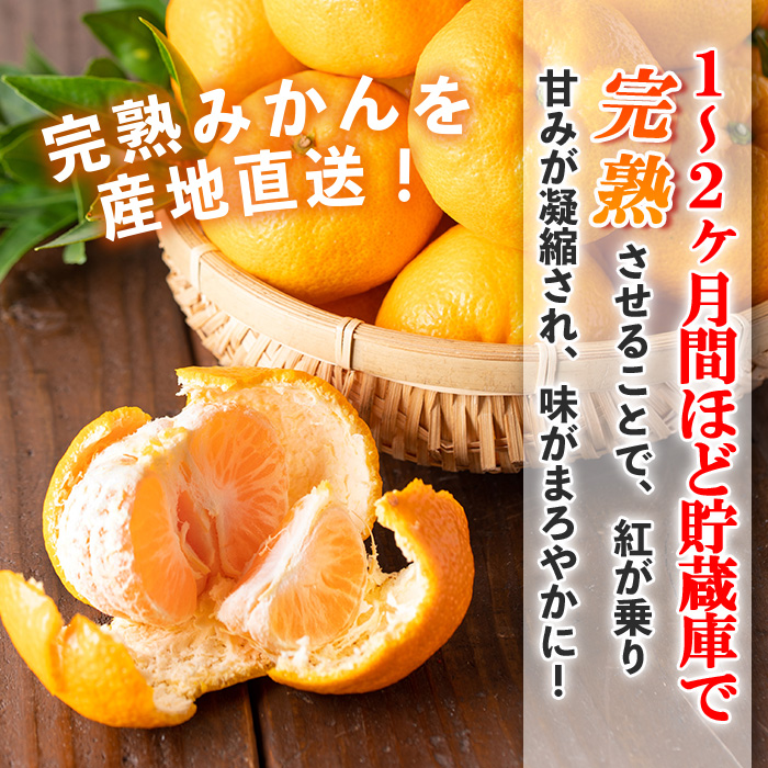 s498 ≪先行予約受付中！2025年12月中旬より順次発送≫十万温州みかん(計約10kg・M～Lサイズ) 鹿児島 国産 九州産 フルーツ 柑橘 みかん 蜜柑 【田野農園】