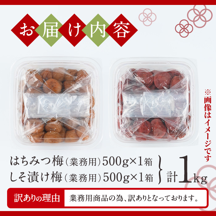 s581 ＜訳あり・業務用＞薩摩西郷梅はちみつ梅・しそ漬け梅食べ比べセット(計1kg・500g×2種)まろやか 南高梅 梅 梅干し うめぼし 蜂蜜 ハチミツ 紫蘇 しそ 粒 大きい 食べ比べ 業務用 訳あり 簡易包装 常温【薩摩西郷梅生産組合】