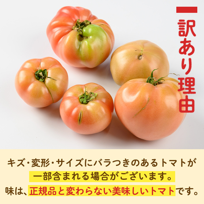 s613 《期間・数量限定》＜訳あり＞大玉トマト(約2kg) 鹿児島 国産 九州産 野菜 やさい 新鮮 とまと トマト 訳あり 規格外 ご家庭用 産地直送 サラダ 【吉祥庵園芸】