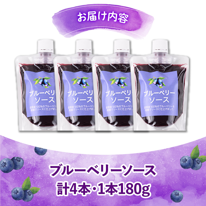 s669 ≪毎月数量限定≫ブルーベリーソース(計4本・1本180g) 鹿児島 国産 九州産 フルーツ 調味料 フルーツソース ジャム ブルーベリー 自家栽培 【田野農園】