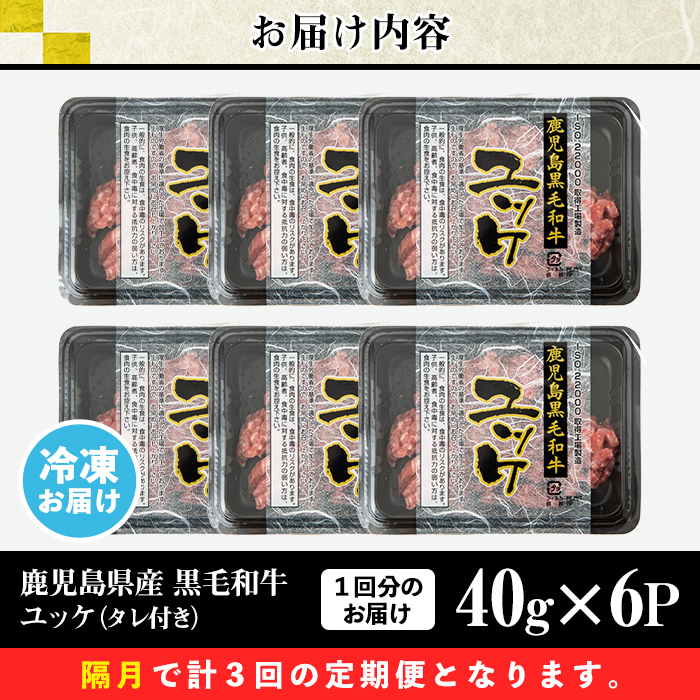 s706 ＜定期便・全3回(隔月)＞鹿児島県産黒毛和牛ユッケ(計720g・40g×6パック×3回) 鹿児島 国産牛 九州産 牛肉 黒牛 生食用 小分け 冷凍 ユッケ 黒毛和牛 牛 【カミチク】