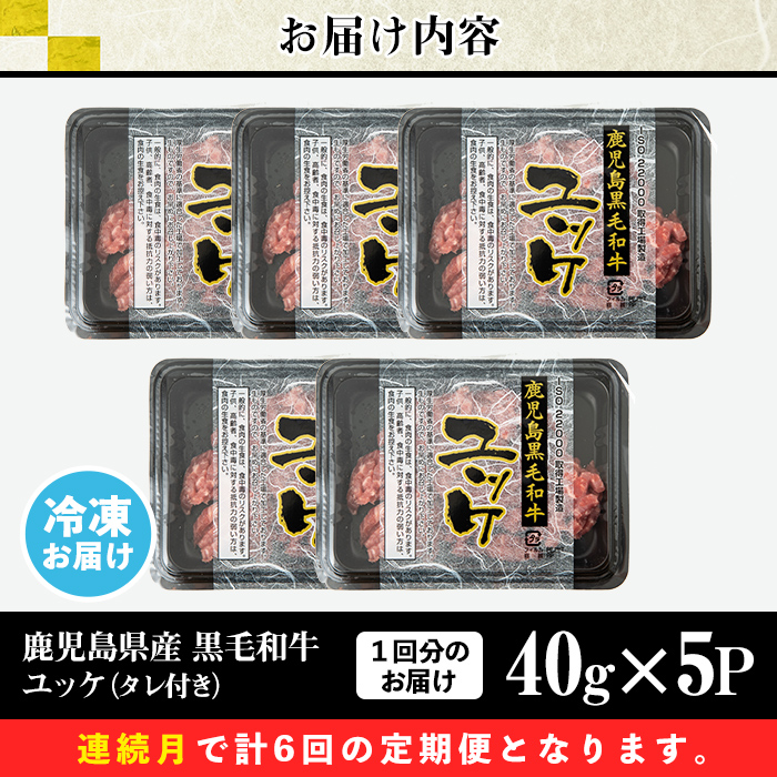 s707 ＜定期便・全6回(連続月)＞鹿児島県産黒毛和牛ユッケ(計1.2kg・40g×5パック×6回) 鹿児島 国産牛 九州産 牛肉 黒牛 生食用 小分け 冷凍 ユッケ 黒毛和牛 牛 【カミチク】