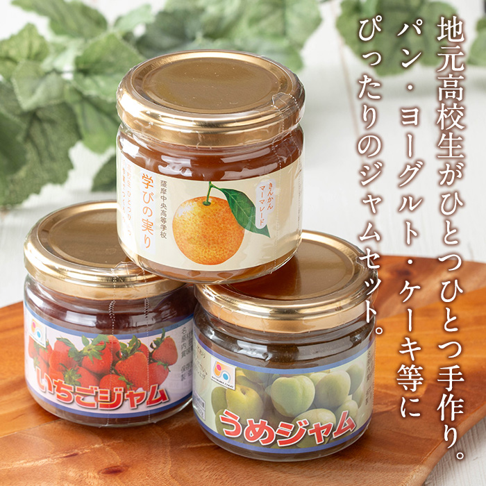 s716 薩摩中央高校豚みそ・ジャムセット(4種×各2個・合計8個) 鹿児島 加工食品 果物 詰め合わせ 梅 うめ ハンドメイド ジャム マーマレード ギフト 手作り 肉みそ 肉味噌 豚みそ ぶたみそ ごはんのお供 【一社)さつま町観光特産品協会】