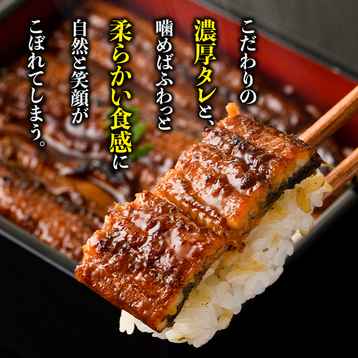 s734 【隔月・定期便3回】＼特大サイズ／ 鹿児島県産 鰻蒲焼真空セット！(計約1.98kg・約220g×3尾×3回) タレ・山椒付！ 鹿児島 九州産 国産 うなぎ ウナギ 鰻 土用の丑の日 蒲焼き うな重 ひつまぶし 定期便 隔月 1ヶ月おきに 冷凍 【薩摩川内鰻】