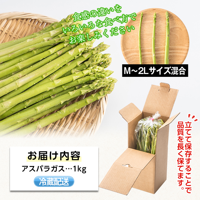 s228 ＜先行予約受付中！2026年2月下旬より順次発送＞≪数量限定≫さつま町産のアスパラガス(1kg・2L～Mサイズ混合) 鹿児島 国産 九州産 産地直送 アスパラ 野菜 ベジタブル【松金農園】