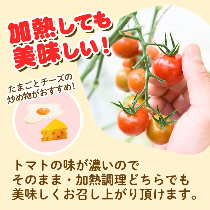 s501 《期間・数量限定》華こまちフルーツトマト(計800g・200g×4パック) 鹿児島 国産 九州産 野菜 とまと トマト ミニトマト フルーツトマト サラダ【吉祥庵園芸】