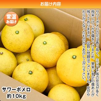 s320 ＜先行予約受付中！2026年2月上旬より順次発送予定＞《期間・数量限定》サワーポメロ(約10kg) 鹿児島 国産 九州産 果物 柑橘 フルーツ みかん 文旦 ボンタン【よしたか農園】