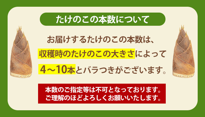 s089 《先行予約受付中！2026年3月下旬より順次発送予定》鹿児島県産たけのこ(4kg・約4～10本) 産地直送 筍 タケノコ 国産 煮物 炊き込みご飯【弐番屋】