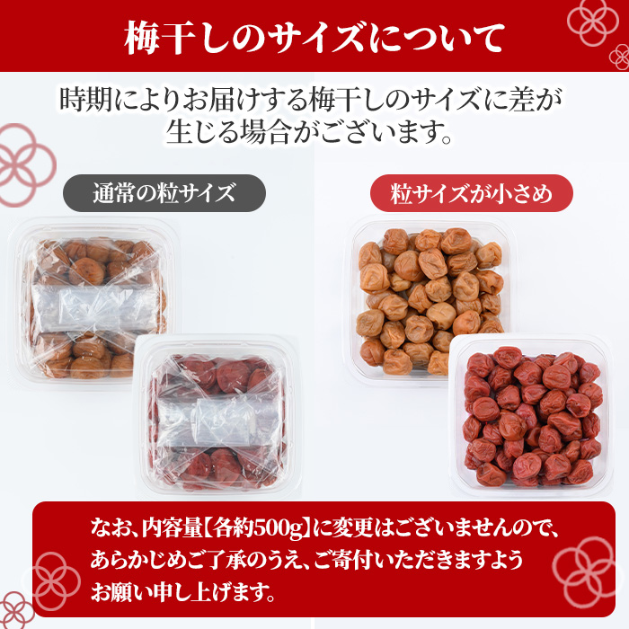 s581 ＜訳あり・業務用＞薩摩西郷梅はちみつ梅・しそ漬け梅食べ比べセット(計1kg・500g×2種)まろやか 南高梅 梅 梅干し うめぼし 蜂蜜 ハチミツ 紫蘇 しそ 粒 大きい 食べ比べ 業務用 訳あり 簡易包装 常温【薩摩西郷梅生産組合】