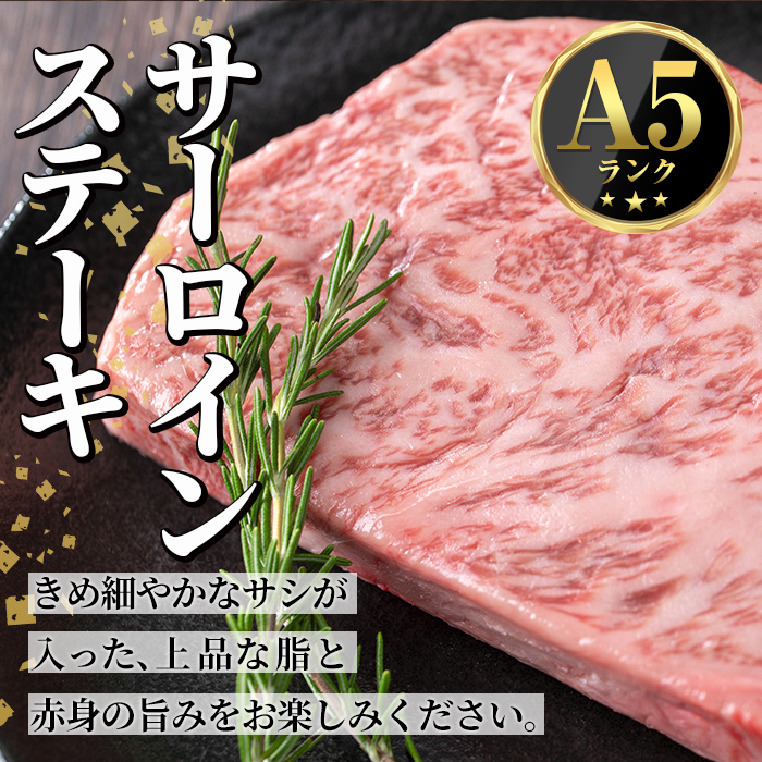 s597 ＜先行予約受付中！2026年1月中旬より順次発送予定＞鹿児島県産 北さつま高崎牛 サーロインステーキ (約300g×2枚 )黒毛和牛 A5ランク A5 雌牛 ステーキ サーロイン 牛肉 お肉  真空パック【太田家】