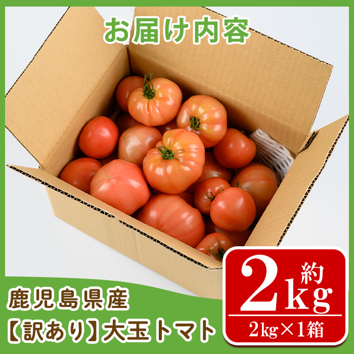 s613 《期間・数量限定》＜訳あり＞大玉トマト(約2kg) 鹿児島 国産 九州産 野菜 やさい 新鮮 とまと トマト 訳あり 規格外 ご家庭用 産地直送 サラダ 【吉祥庵園芸】