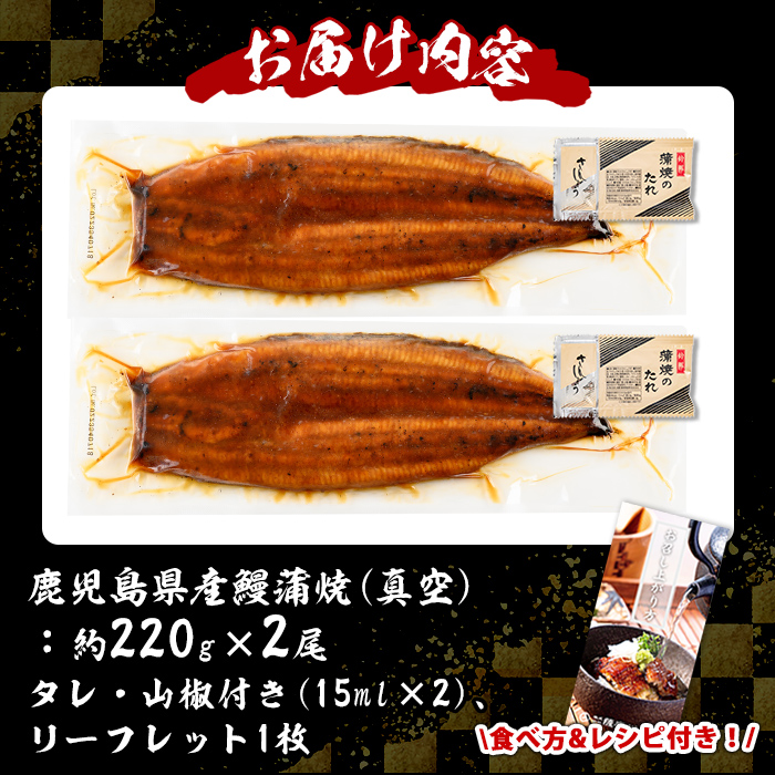 s729 ＼特大サイズ／ 鹿児島県産 鰻蒲焼真空セット！(計約440g・約220g×2尾) タレ・山椒付！ 鹿児島 九州産 国産 うなぎ ウナギ 鰻 土用の丑の日 蒲焼き うな重 ひつまぶし 冷凍 【薩摩川内鰻】