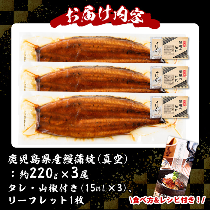 s730 ＼特大サイズ／ 鹿児島県産 鰻蒲焼真空セット！(計約660g・約220g×3尾) タレ・山椒付！ 鹿児島 九州産 国産 うなぎ ウナギ 鰻 土用の丑の日 蒲焼き うな重 ひつまぶし 冷凍 【薩摩川内鰻】